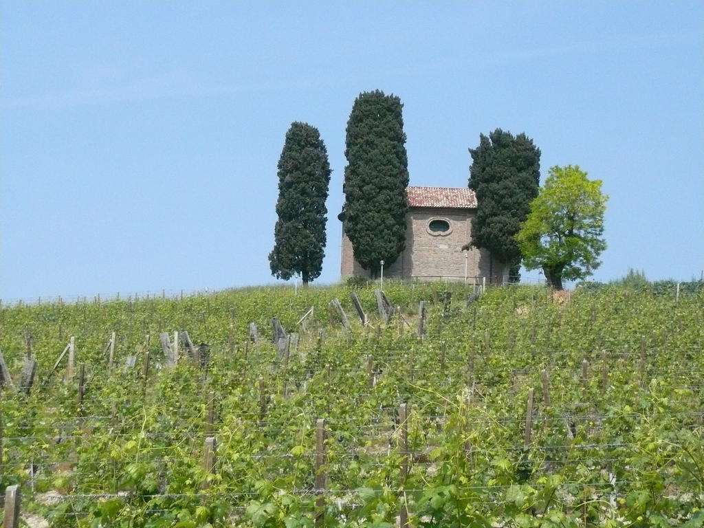 니차몬페라토 Agriturismo Relais "Il Bricco" 빌라 외부 사진